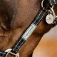 Horseware Signature Field Safe Grime